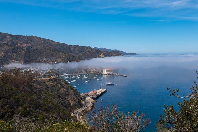 2 hour Inside Adventure Tour on Catalina Island - Experience the Hidden Heart of Catalina Island: The 2-Hour Inside Adventure Tour