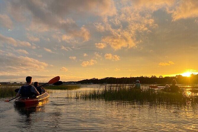 2 Hour Kayak Hilton Head Dolphin and Nature Tour - FAQ: Your Questions Answered