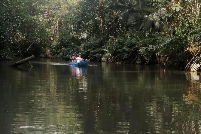 2-Hour Kayak Tour in Quepos - A Closer Look at the Quepos Kayak Tour Experience