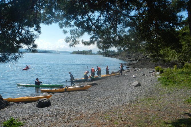 2- hour kayak trip on the Oslo Fjord - Discover Oslo from a New Perspective with a 2-Hour Kayak Trip on the Oslo Fjord