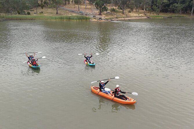 2-Hour Kayaking Experience in Barossa Valley - Exploring the Kayaking Experience in Detail