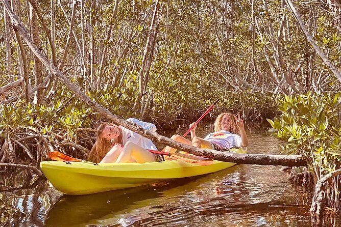 2 Hour Key West Kayak Rental  Discover Mangroves & Wildlife! - Key Points