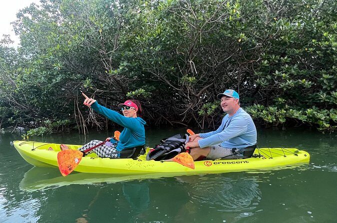 2 Hour Key West Kayak Rental  Discover Mangroves & Wildlife! - Practical Tips for Your Kayaking Adventure