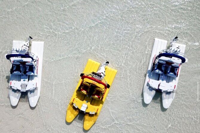 2 Hour Key West Mini Catamaran Eco Tour - Key Points