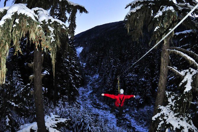 2 Hour Late Afternoon Winter Zipline Adventure - The Itinerary in Detail