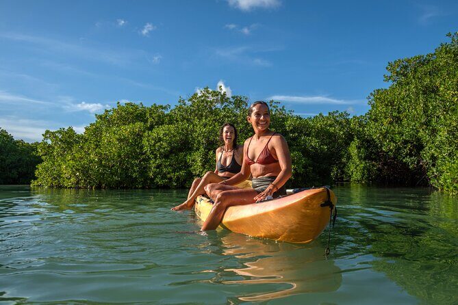 2 Hour Mangrove Kayak and Snorkel Tour - Why This Tour Is Worth Your Time in Bonaire