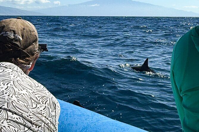 2 Hour Maui Dolphin Watch Sightsee Raft Tour (Semi-Private) - Practical Details and Considerations
