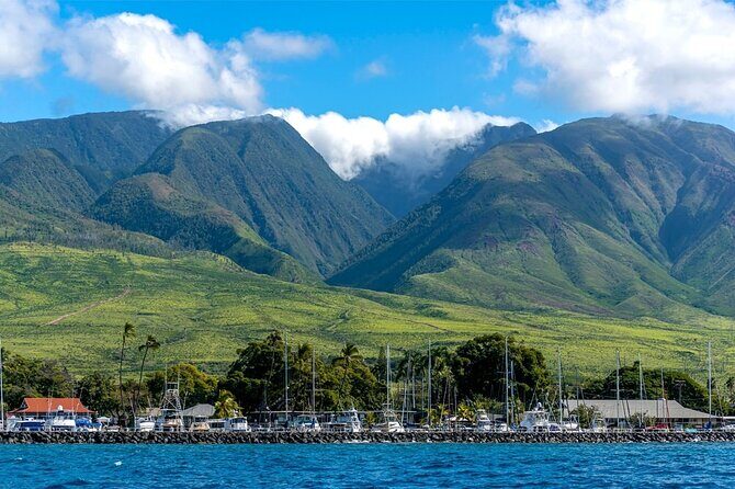 2 Hour Maui Dolphin Watch Sightsee Raft Tour (Semi-Private) - Frequently Asked Questions