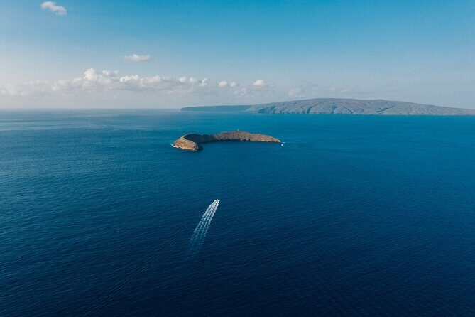 2-Hour Molokini Snorkel Trip - An In-Depth Look at the 2-Hour Molokini Snorkel Trip