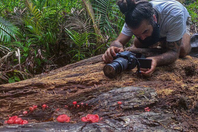 2-Hour Mushroom Photography Activity in Cairns Botanic Gardens - What to Expect from the Tour