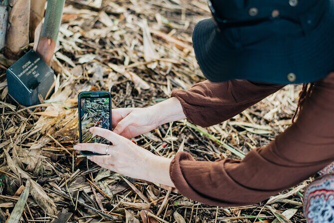 2-Hour Mushroom Photography Activity in Cairns Botanic Gardens - Frequently Asked Questions