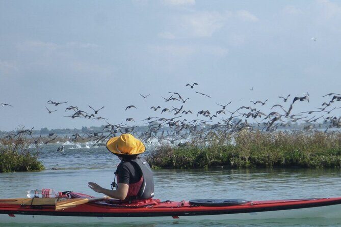 2 Hour Night Kayak Tour in Venice, premium experience with sunset - An Unforgettable Venice Experience – From Water