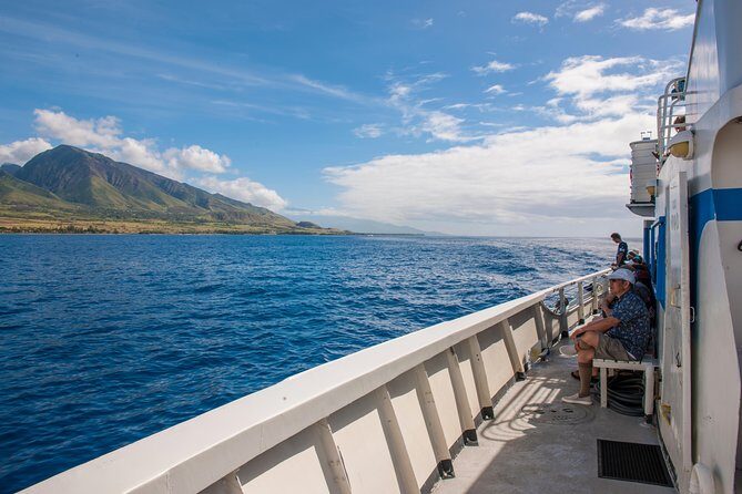 2-Hour Oahu Whale Watch from Ala Wai Harbor, Waikiki - Who Should Consider This Tour?