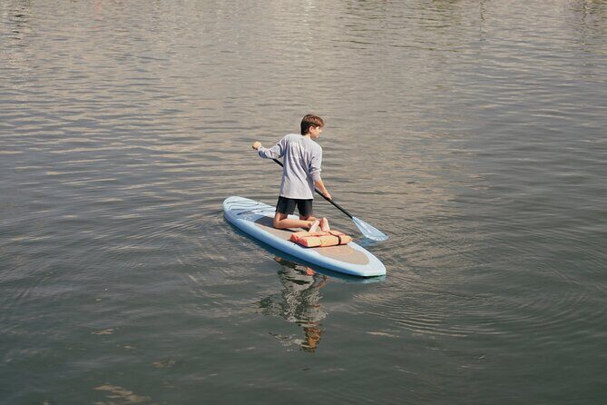 2 Hour Paddle Board Rental - Discover Crystal River’s Waterways with a 2-Hour Paddle Board Rental