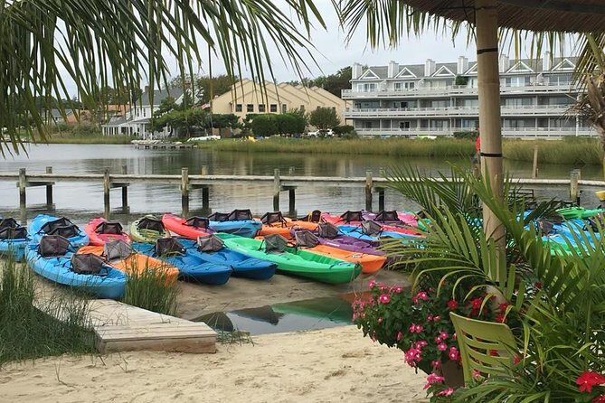 2-Hour Paddleboard Rental in Rehoboth Bay - The Sum Up