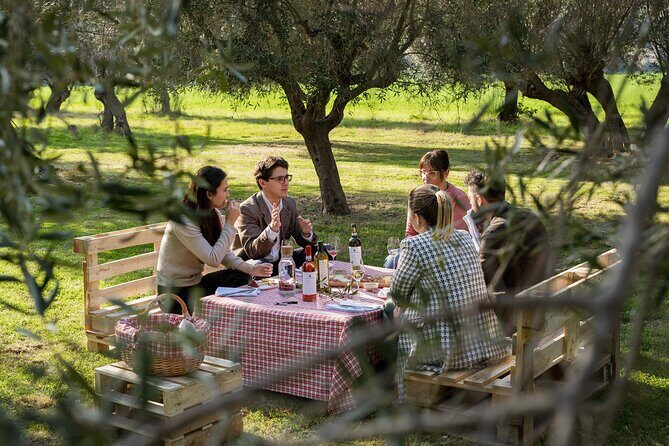 2-Hour Picnic among the Olive Trees with Typical Abruzzese Products - The Itinerary in Detail