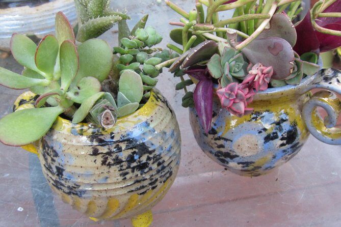 2- Hour Pottery Workshop and Studio Tour in Ojai - Pricing and Value Analysis