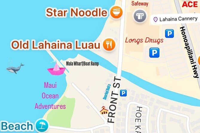 2 Hour Prime Time Maui Whale Watching - Who Should Take This Tour?