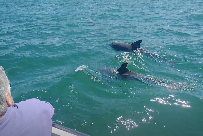 2-hour Private Boat Tour in Clearwater Florida - FAQ about the 2-hour Private Boat Tour in Clearwater