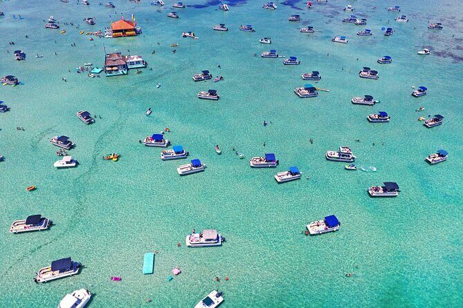 2 Hour Private Captained Crab Island Dolphin Tour in Destin - An In-Depth Look at the Experience