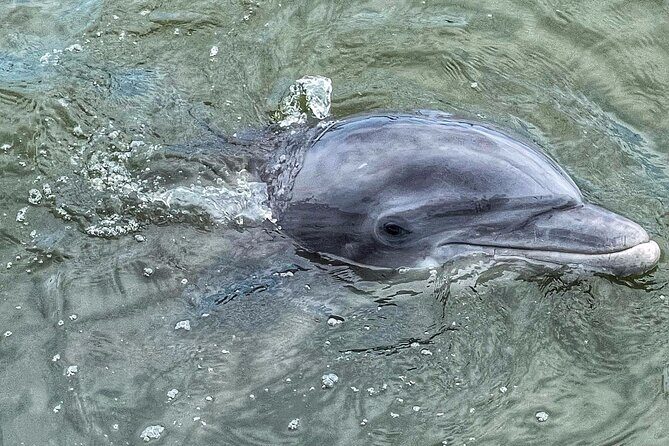 2 Hour Private Charter (up to 14 passengers) - A Closer Look at the 2-Hour Private Charter