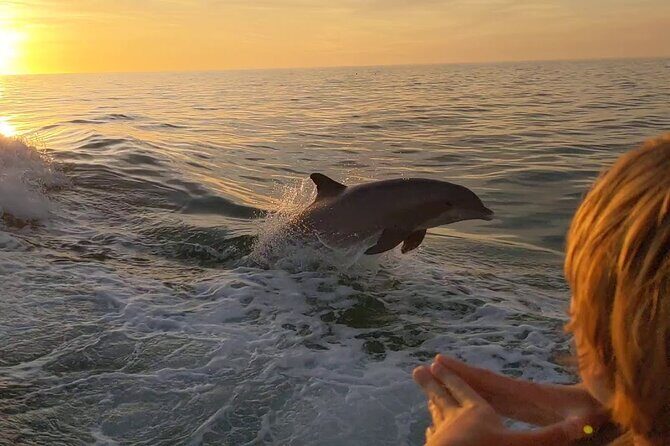 2 Hour Private Dolphin and Sightseeing Tour Shell Island - Discover the Hidden Beauty of Shell Island with a Private Dolphin and Sightseeing Tour