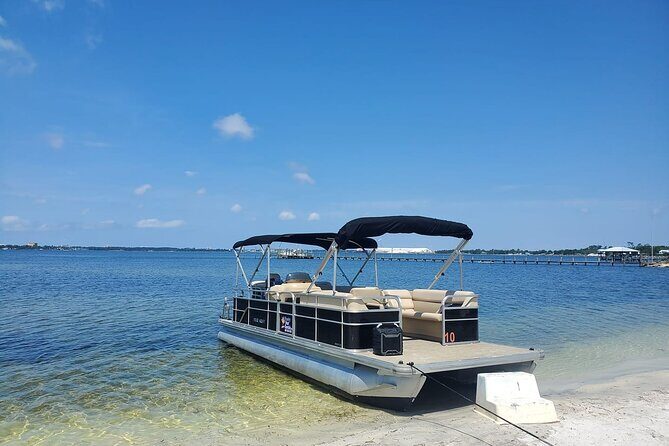 2 Hour Private Dolphin and Sightseeing Tour Shell Island - Key Points