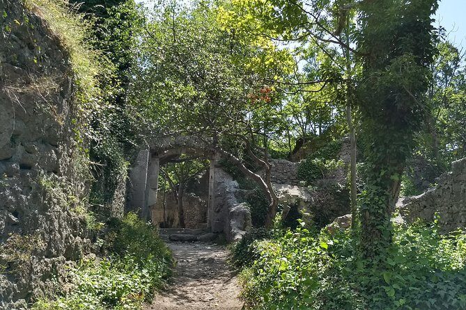 2-Hour Private Hiking Tour Helenental Castles Hike from Vienna - Final Thoughts