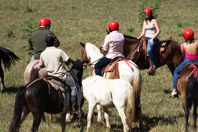 2 Hour Private Horseback Riding in Tarcoles Costa Rica - Key Points