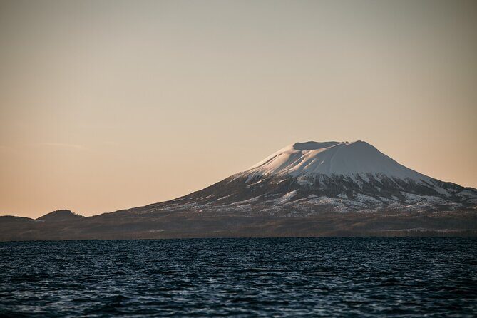 2 Hour Private Marine Wildlife Tour - Final Thoughts