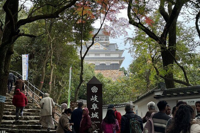 2 Hour Private Scenic Mountain Castle Tour in Gifu - FAQ