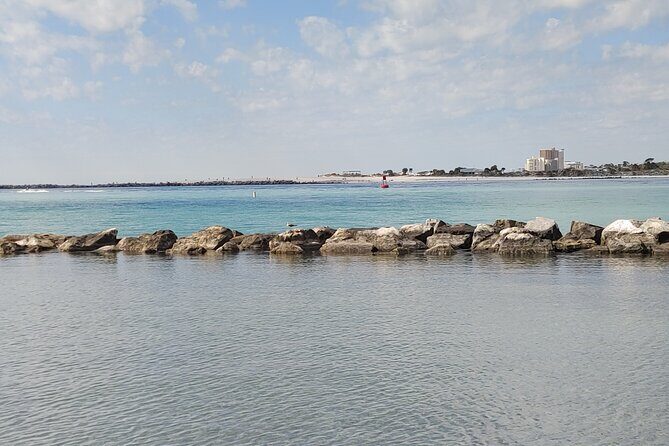 2-Hour Private Sightseeing Dolphin Tour in Panama City Beach - Who Will Love This Experience?