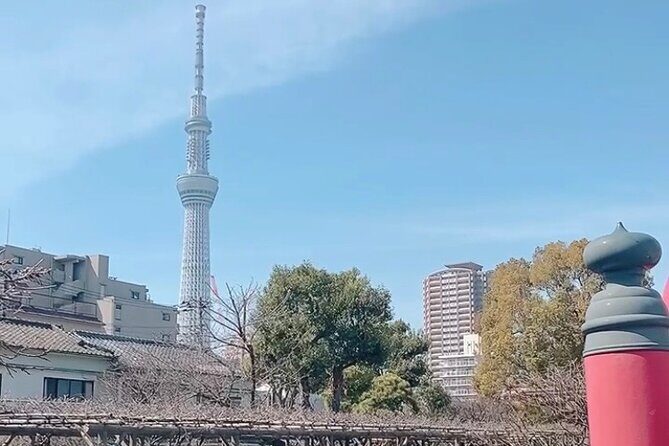 2 Hour Private Tokyo Downtown Kameido Good Fortune Tour - Practical Considerations and Tips