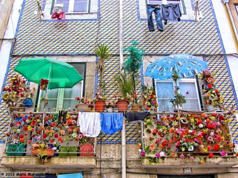 2-Hour Private Tour of Lisbon - The Sum Up: Wise Choice for Authentic Lisbon Highlights