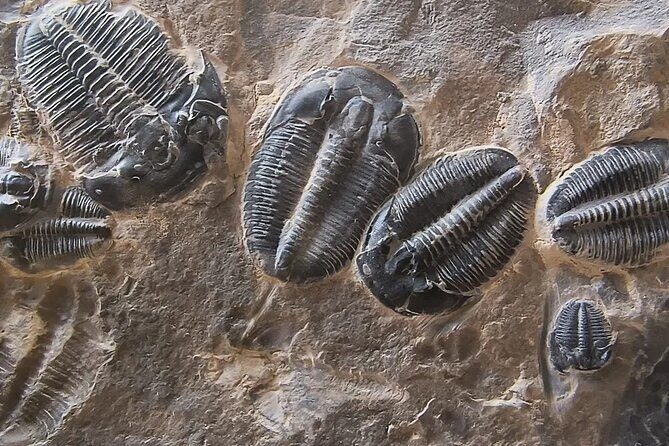 2 hour Quarry Access - Exploring the 2-Hour Quarry Access Experience in Utah