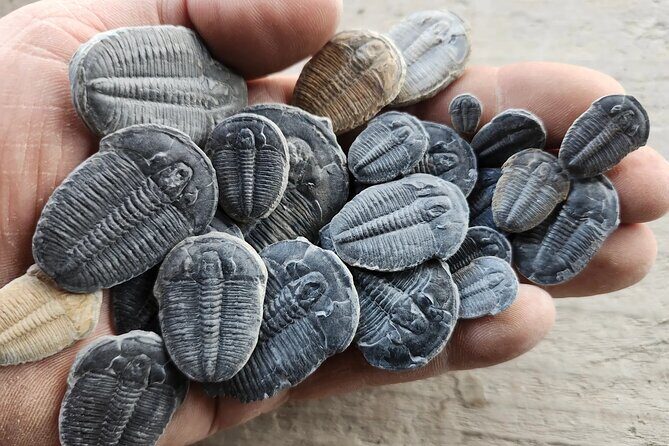 2 hour Quarry Access - Key Points