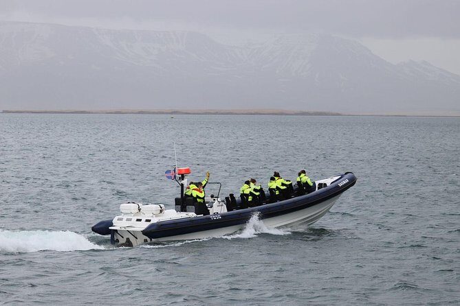 2-Hour RIB Boat Whale Watching Tour from Reykjavik - Key Points