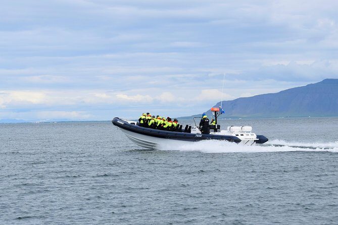 2-Hour RIB Boat Whale Watching Tour from Reykjavik - Final Thoughts