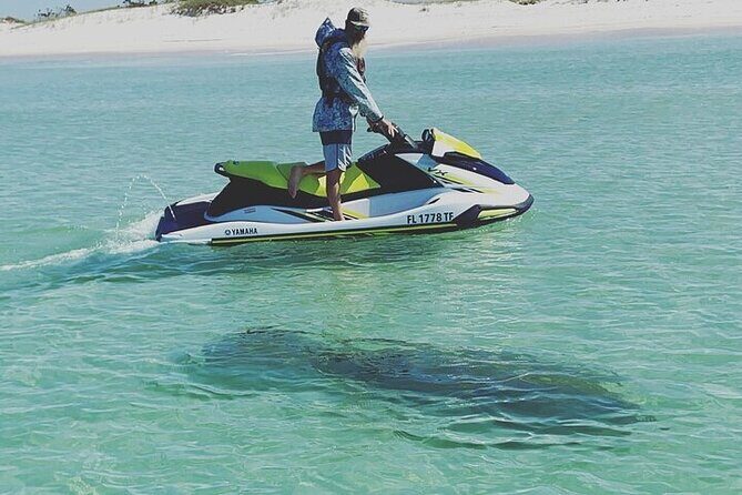 2 Hour Shell Island Jet Ski Dolphin Tour - Key Points