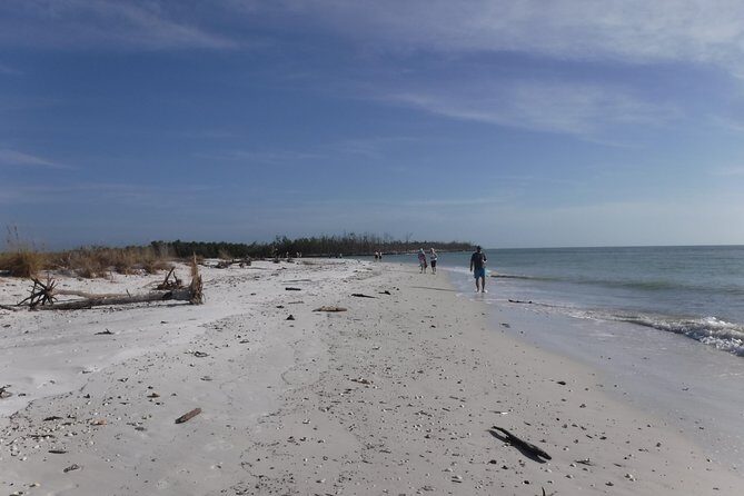 2-hour Shelling Boat Tour in the 10,000 Islands - In-Depth Review of the 2-hour Shelling Boat Tour
