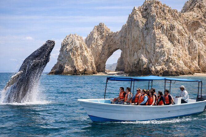 2-Hour Shore Excursion | Arch, Lovers Beach & Whale Encounters - Exploring the Cabo San Lucas Shore Excursion: Arch, Lovers Beach & Whale Encounters