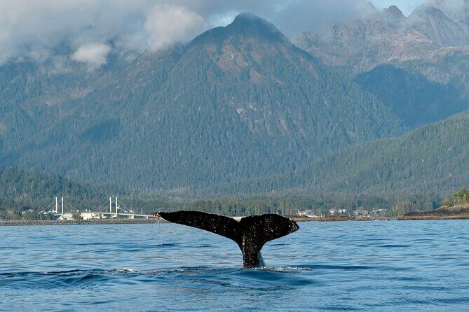 2 Hour Sitka Private Charter Sunset Cruise - The Sum Up: Is It Worth Your Time in Sitka?