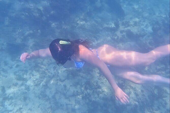 2-Hour Snorkeling in Two Spots of Tulum's Reef - The Sum Up: Worthwhile for Curious Travelers and Nature Lovers