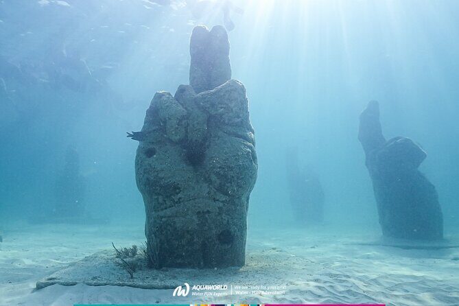 2-Hour Snorkeling Paradise Reef in Cancún Underwater Museum - In-depth Breakdown of the Experience