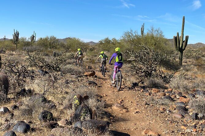 2 Hour Sonoran Desert Private Guided Mountain Bike Tour - Experience the Sonoran Desert on a Private Mountain Bike Tour