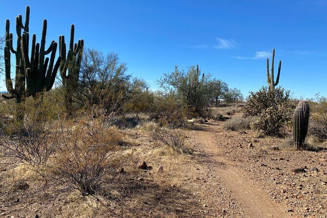 2 Hour Sonoran Desert Private Guided Mountain Bike Tour - Authenticity and Value