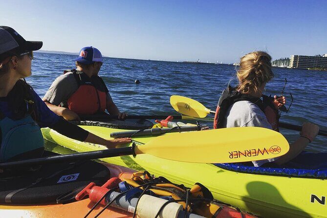 2 Hour Sound Tour - In-Depth Look at the Puget Sound Kayak Tour