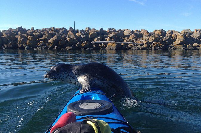 2 Hour Sound Tour - Final Thoughts