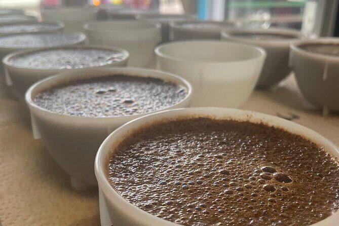 2-Hour Specialty Coffee tasting in Ljubljana - Key Points