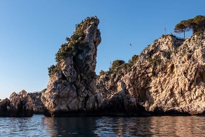 2 Hour Sunset Dolphin Watching Shared Tour in luxury boat - Key Points